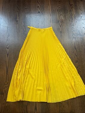 & Other Stories Gold Pleated Maxi Skirt Cocktail